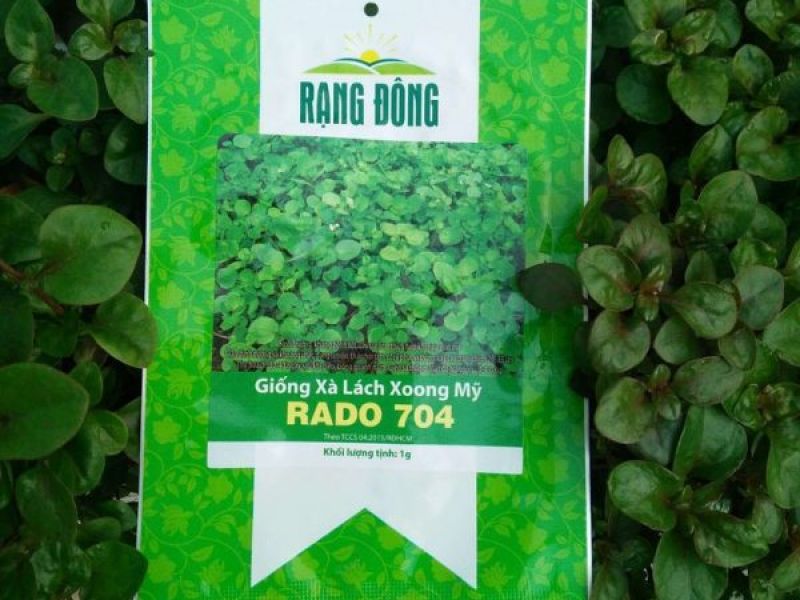 Giống Xà Lách Xoong Mỹ RADO 704